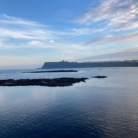 Ellenby Scarborough