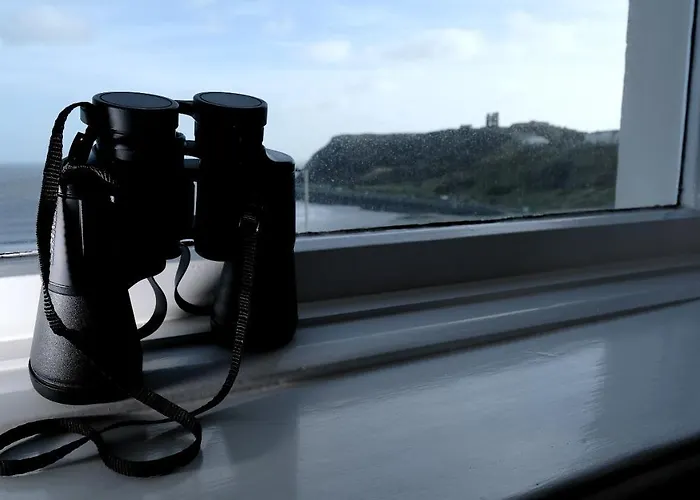 بيت ضيافة Ellenby سكرابورو